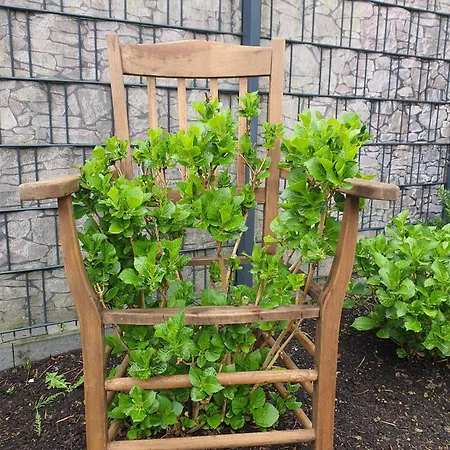 Apartment Pier19farmhouse Emden